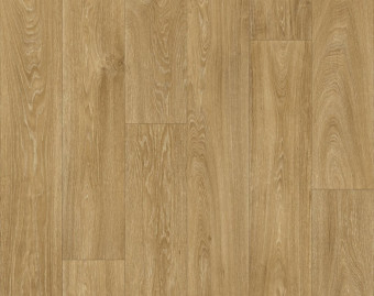 [700111309_1] Xtreme - Havanna Oak 662M 2000