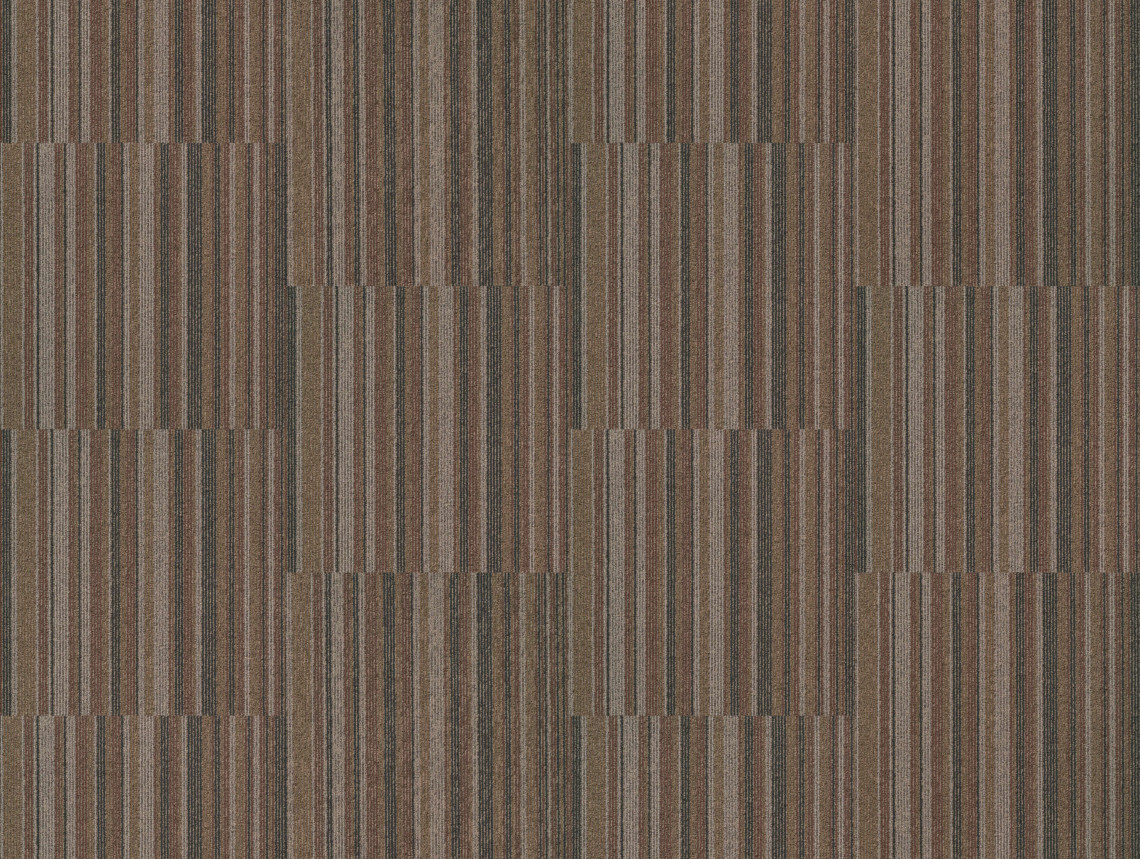 Tessera Barcode - 314 time line