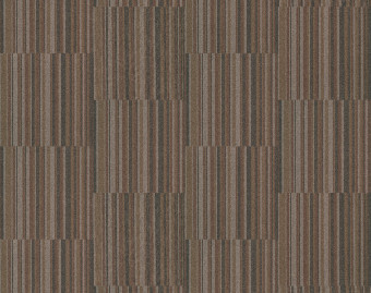 [1001111135_8] Tessera Barcode - 314 time line