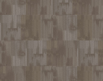[1001111136_3] Tessera Contour - 1900 painted bark