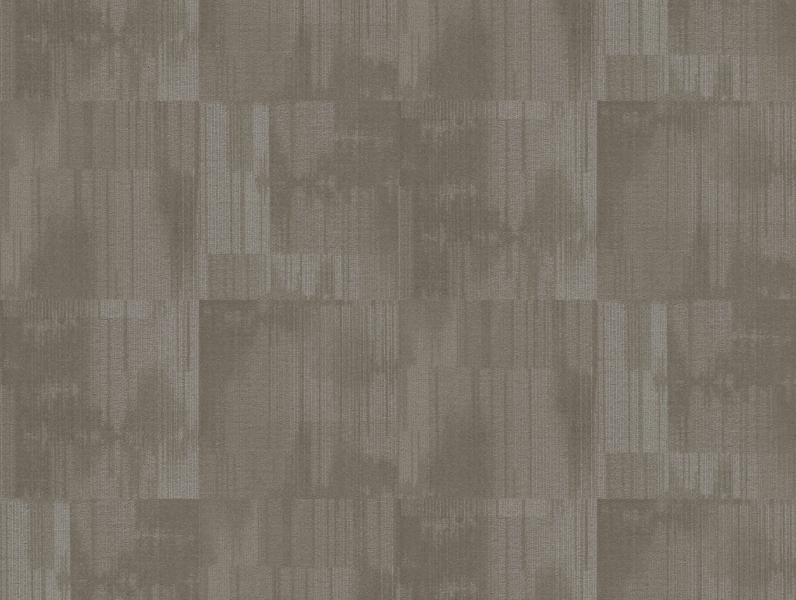 Tessera Contour - 1902 neutral buff