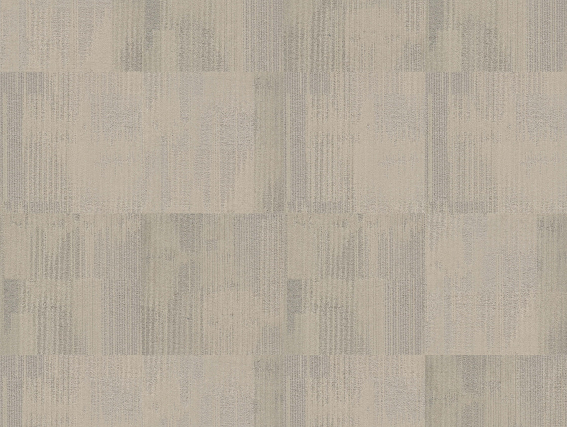 Tessera Contour - 1903 white spruce