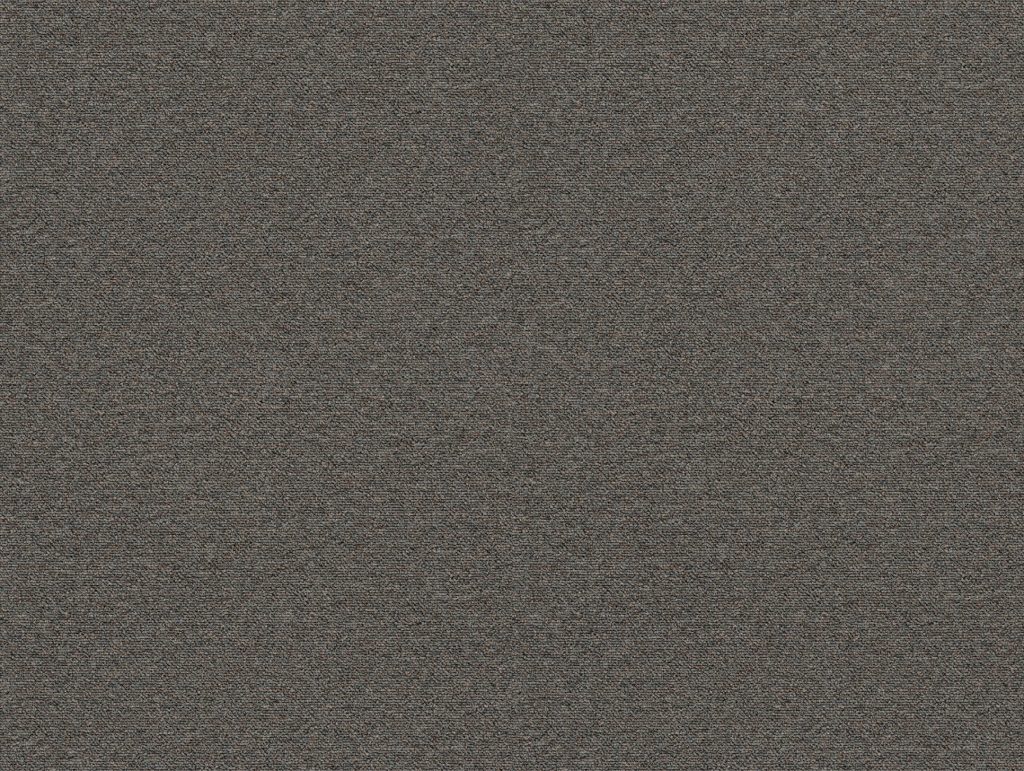 Tessera Layout&Outline - 2105 aniseed