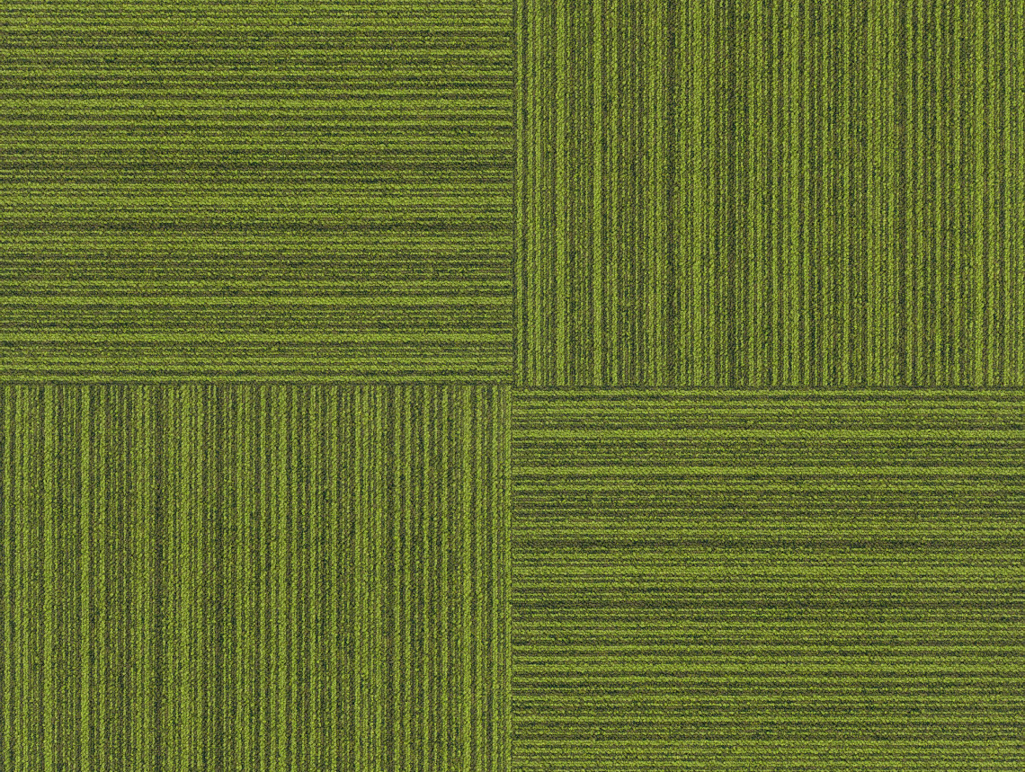 Tessera Layout&Outline - 3106 fruit salad