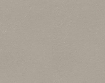 [1001111131_10] SafeStep R11 - 174232 fossil
