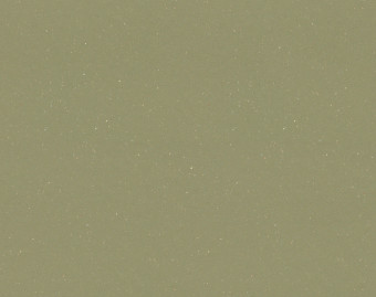 [1001111131_6] SafeStep R11 - 174542 moss