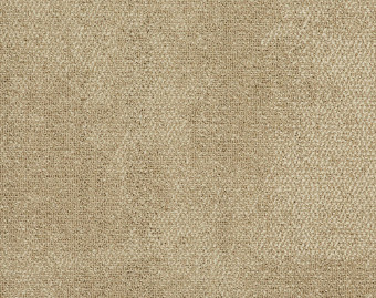 [300111118_15] Composure - 303004 Tranquil