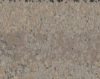 [300111123_13] HN810 - 104218 Shale