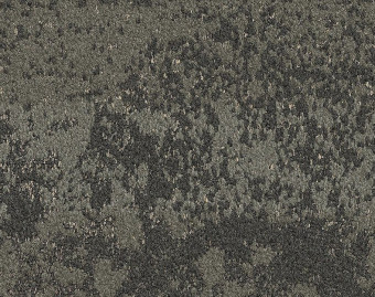 [300111123_15] HN810 - 106487 Titanium