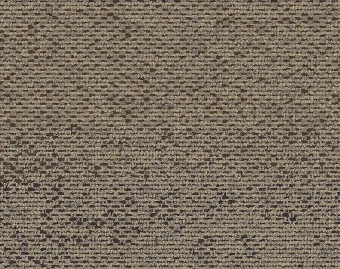 [300111124_5] HN820 - 104233 Pumice