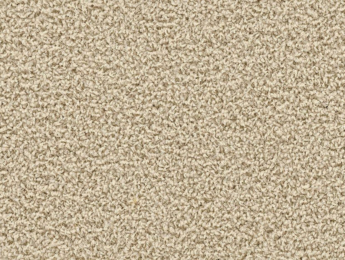 HN830 - 104244 Bone