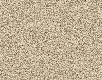 [300111125_2] HN830 - 104244 Bone