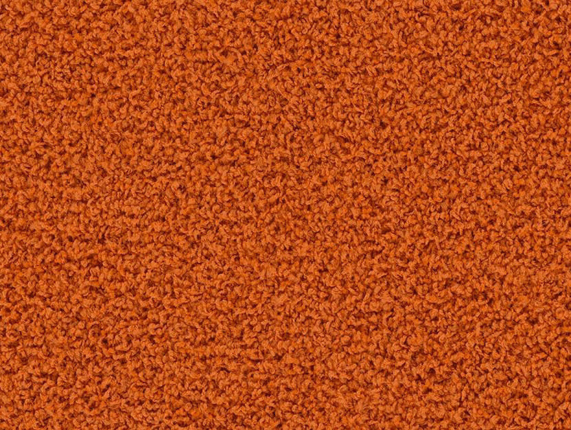HN830 - 104241 Clementine