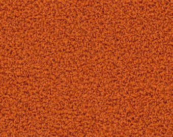 [300111125_3] HN830 - 104241 Clementine