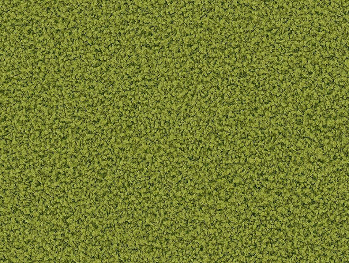 HN830 - 104242 Kiwi