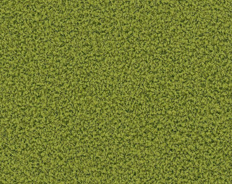 [300111125_5] HN830 - 104242 Kiwi