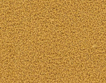 [300111125_6] HN830 - 104238 Maize