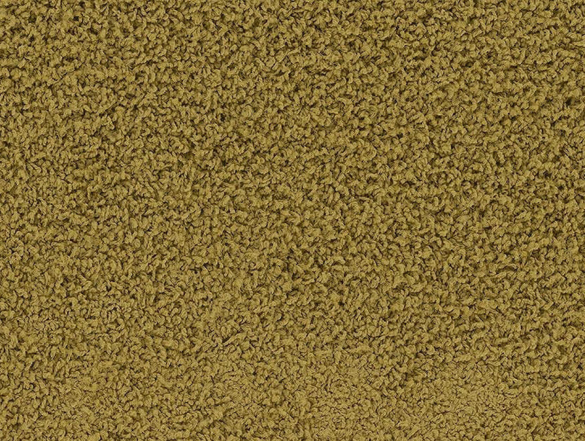 HN830 - 104243 Pistachio