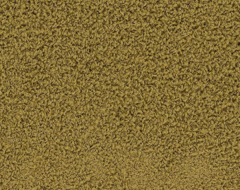 [300111125_8] HN830 - 104243 Pistachio