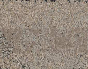 [300111127_6] HN850 - 104210 Shale