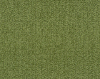 [300111131_4] Monochrome - 101857 Asparagus