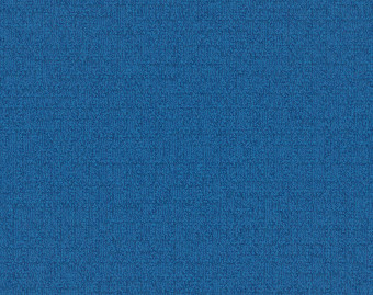 [300111131_7] Monochrome - 101841 Blue