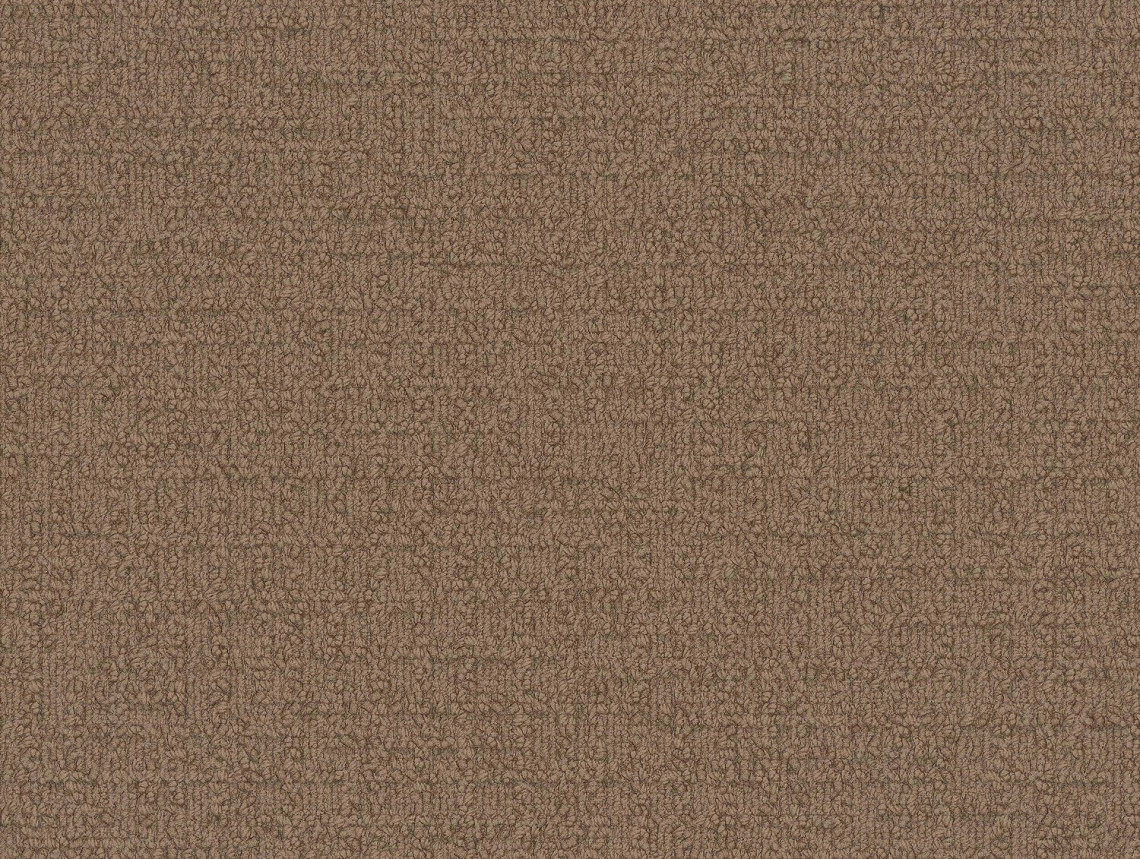 Monochrome - 101808 Briar