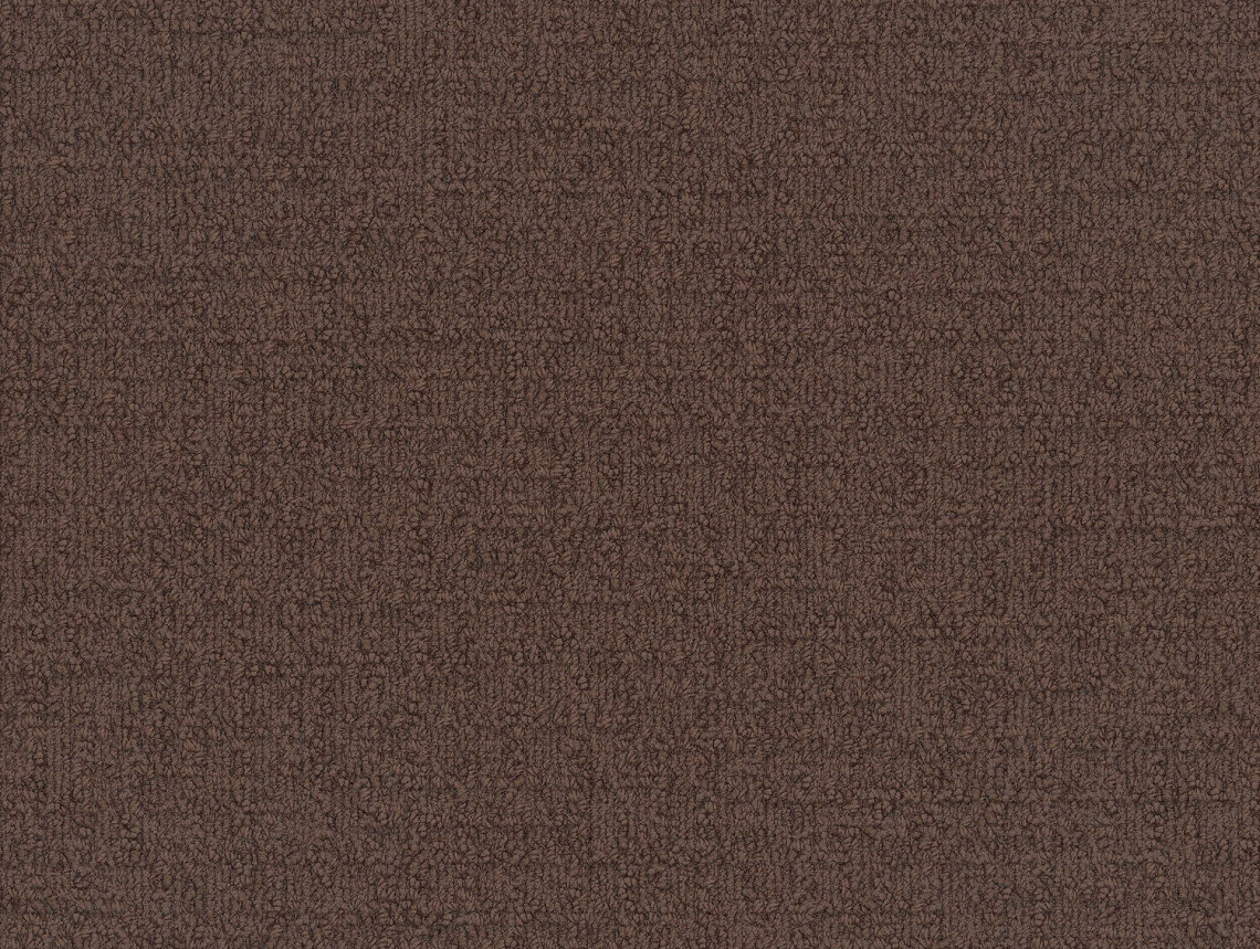 Monochrome - 101804 Brown