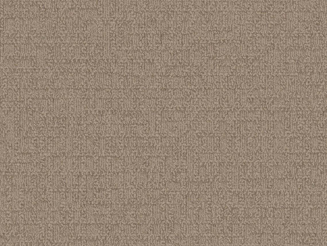 Monochrome - 101802 Caraway