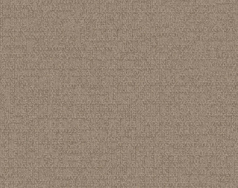 [300111131_10] Monochrome - 101802 Caraway