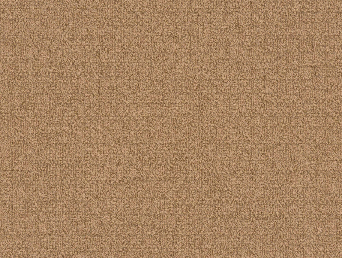Monochrome - 101806 Castor