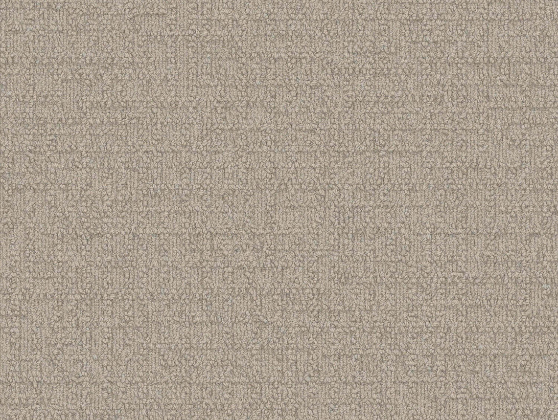 Monochrome - 101807 Cream