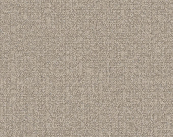 [300111131_15] Monochrome - 101807 Cream