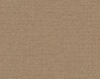 [300111131_17] Monochrome - 101810 Doubloon