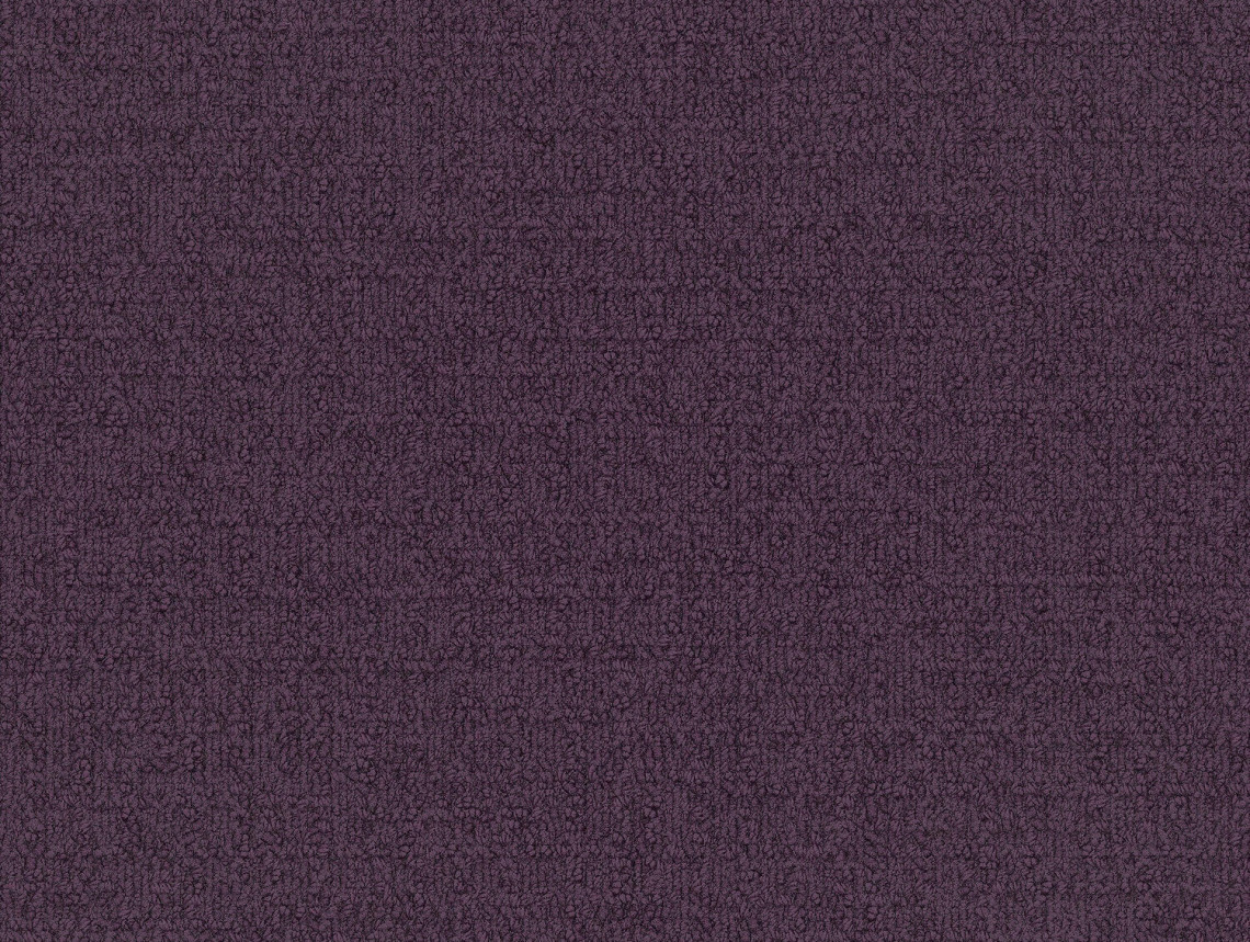 Monochrome - 101824 Eggplant