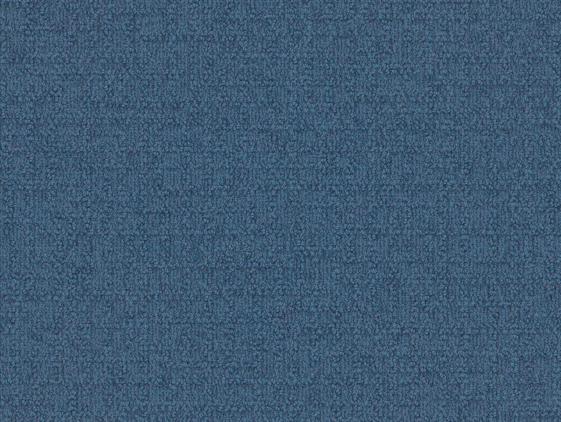 Monochrome - 101842 Flemish Blue