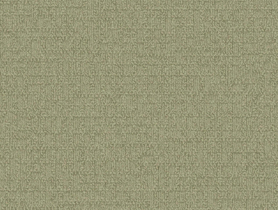 Monochrome - 101859 Grass