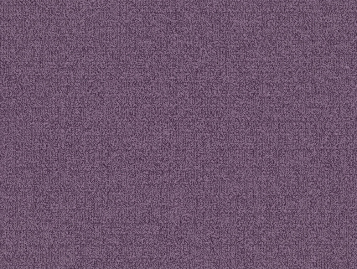 Monochrome - 101830 Lilac Haze