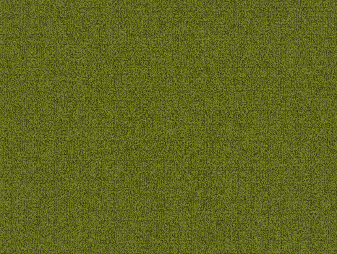 Monochrome - 103649 Lime