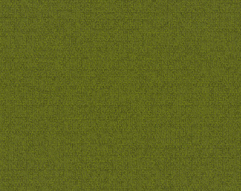 [300111131_35] Monochrome - 103649 Lime