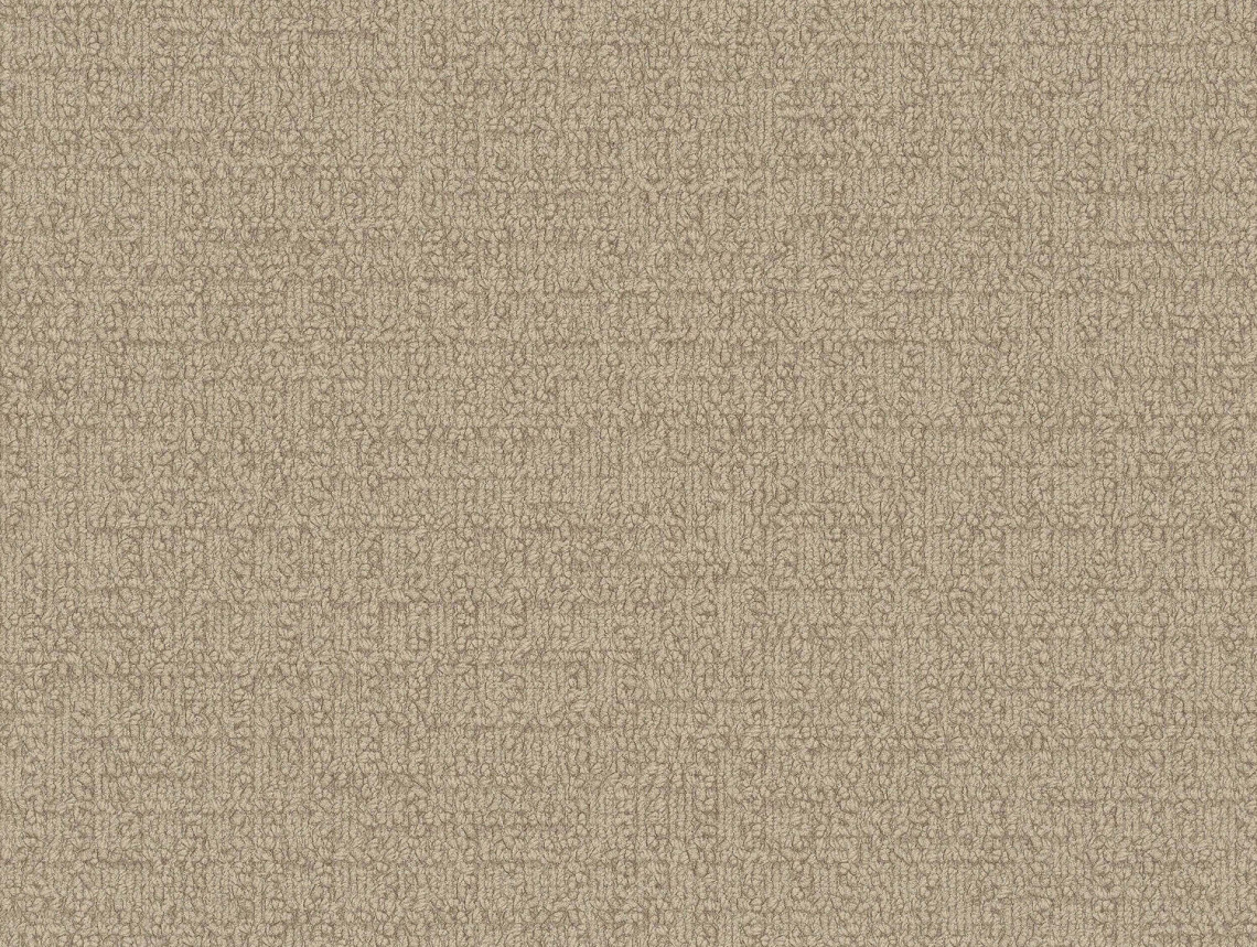 Monochrome - 101811 Linen
