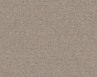 [300111131_37] Monochrome - 101803 Malt