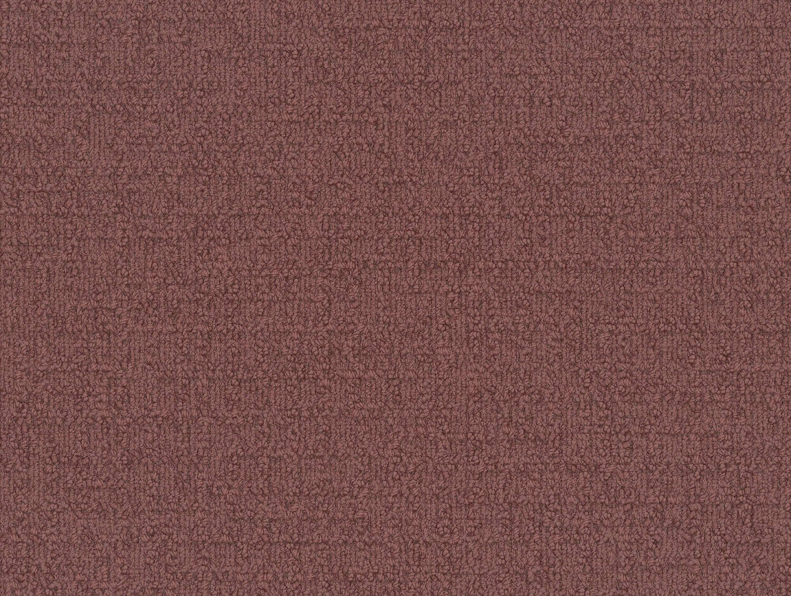 Monochrome - 101822 Mauve