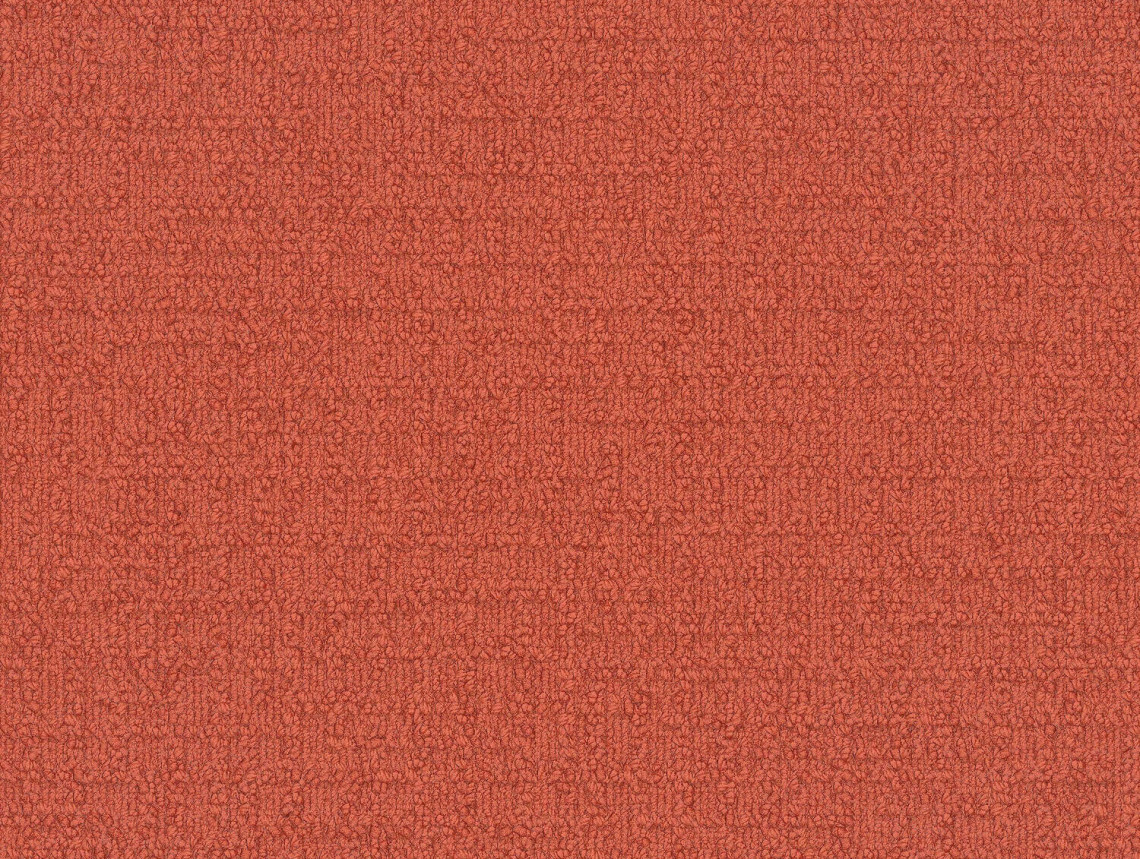 Monochrome - 101819 Orange
