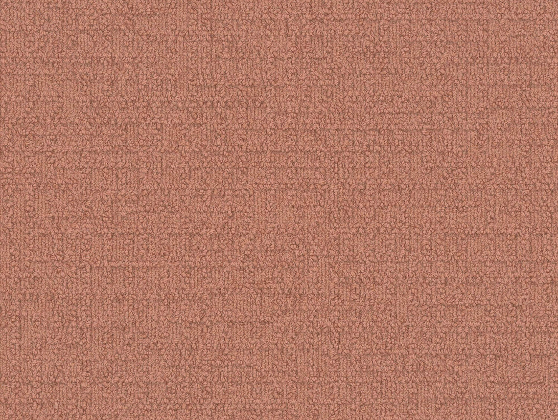 Monochrome - 101823 Peach