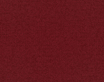 [300111131_53] Monochrome - 101821 Raspberry