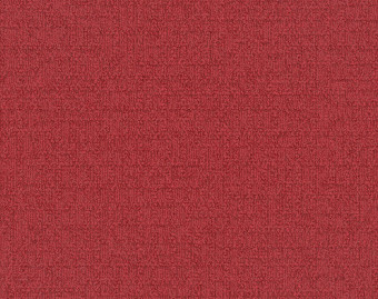 [300111131_54] Monochrome - 101827 Red