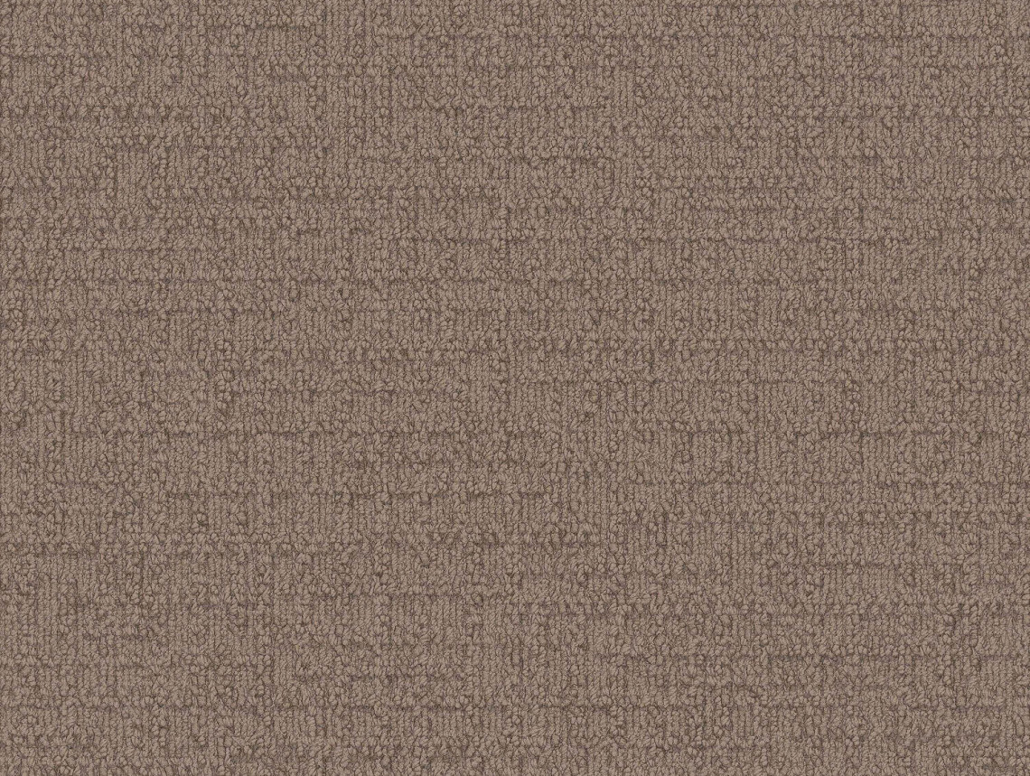 Monochrome - 101805 Taupe