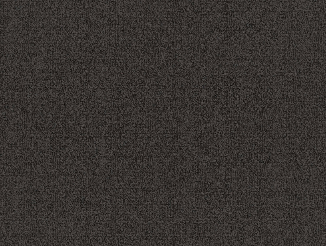 Monochrome - 101800 Umber
