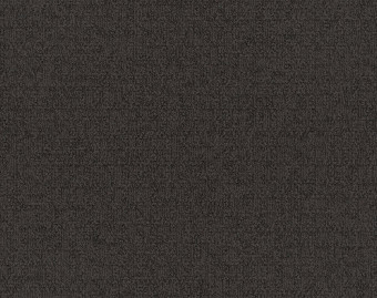 [300111131_63] Monochrome - 101800 Umber